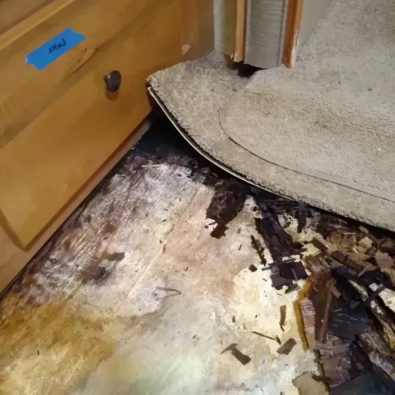 Wood Floor Water Damage in Valley, NE